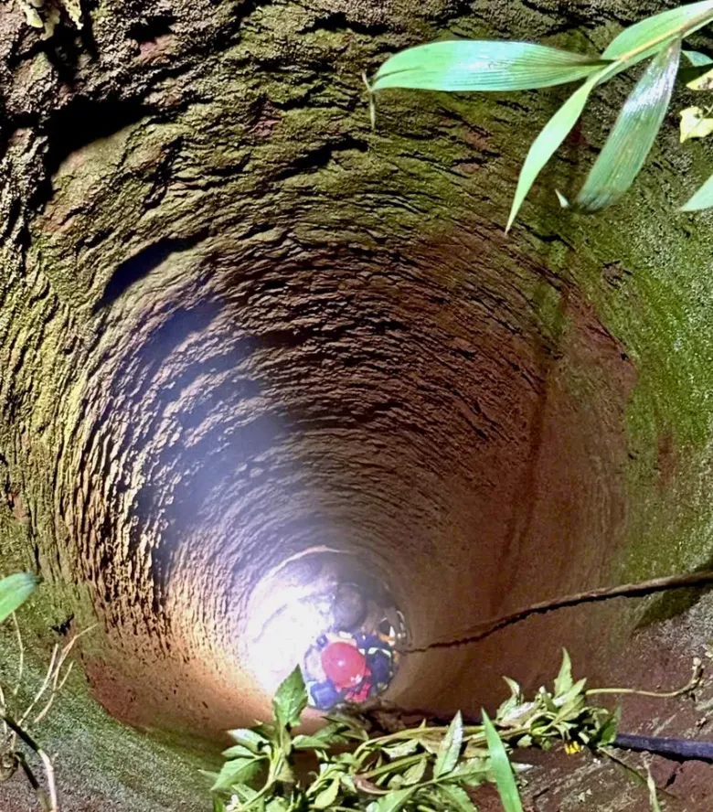 View - Tin tức 24h: Xuất hiện vùng áp thấp trên Biển Đông, dự báo sẽ mạnh thêm | Báo Tri thức và Cuộc sống - TIN TỨC PHỔ BIẾN KIẾN THỨC 24H