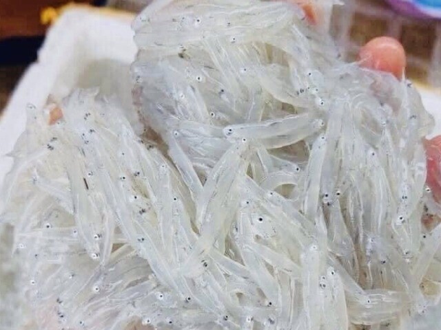 View - Tin tức 24h: Áp thấp nhiệt đới sắp hình thành trên Biển Đông, nhiều nơi trên cả nước mưa lớn | Báo Tri thức và Cuộc sống - TIN TỨC PHỔ BIẾN KIẾN THỨC 24H